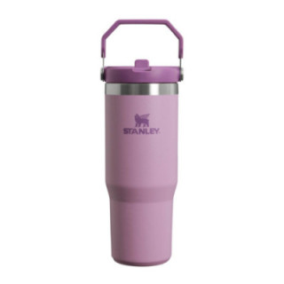 STANLEY Tumbler se slámkou/brčkem 890ml Lilac | Kvalita v kuchyni